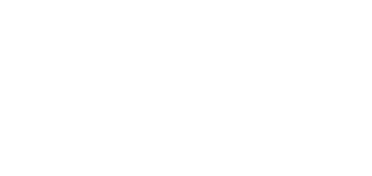 light logo